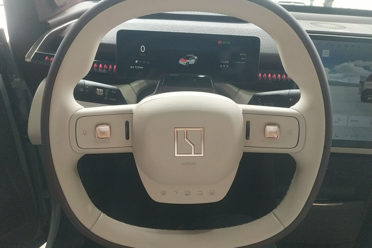 极氪 极氪X 2024 汽车图片 #11