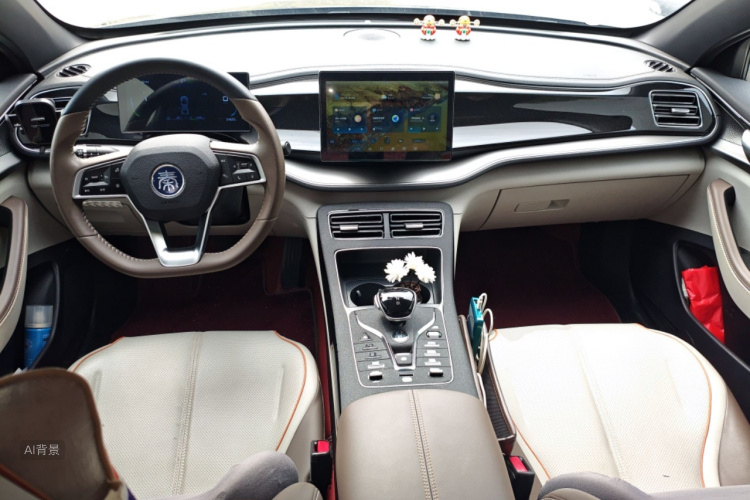 BYD Qin Plus 2023 car image #11