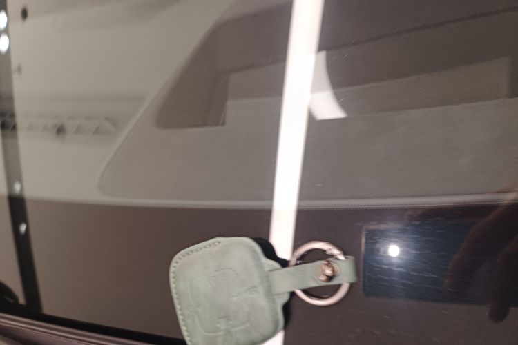 极氪 极氪001 2023 汽车图片 #11