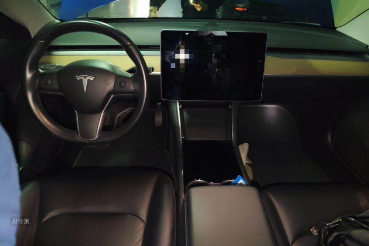 特斯拉 Model 3(进口) 2019 汽车图片 #11