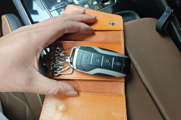 BYD Tang New Energy 2021 car image #11