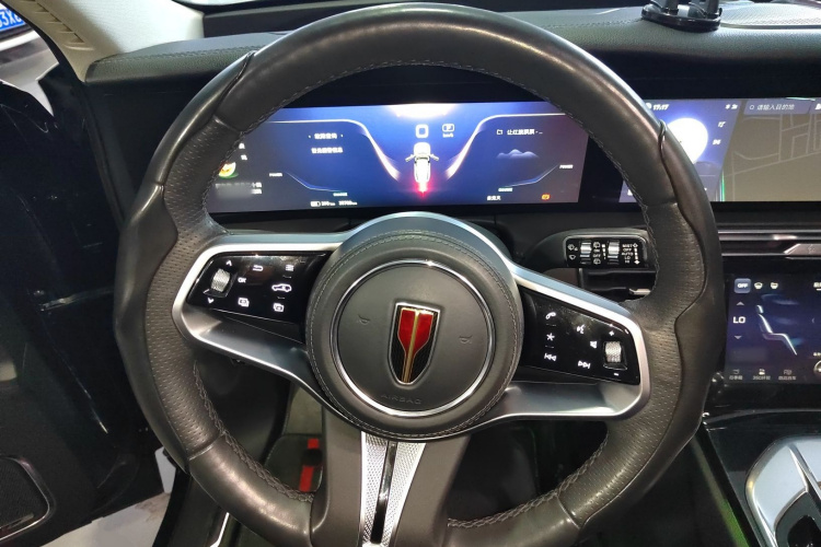 HongQi E-HS9 2023 immagine di auto #11