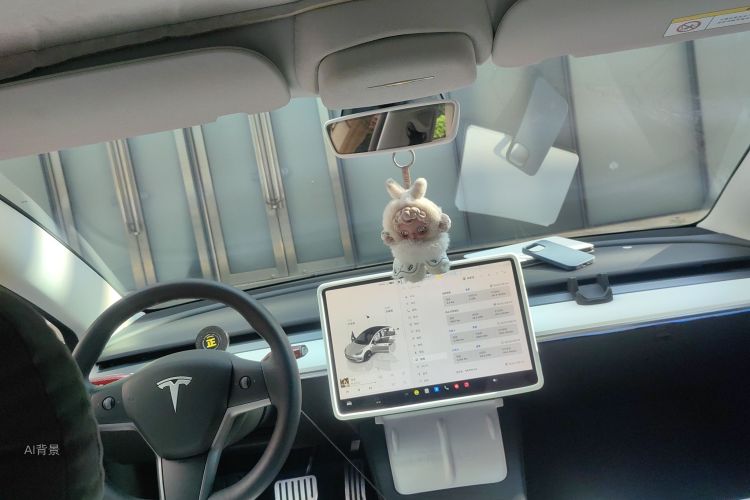 Tesla Model 3 2022 immagine di auto #11