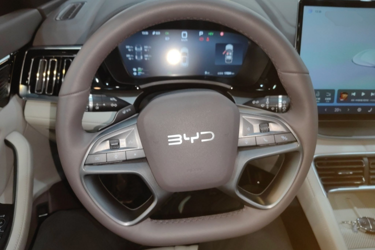 BYD Song Plus New Energy 2025 immagine di auto #11