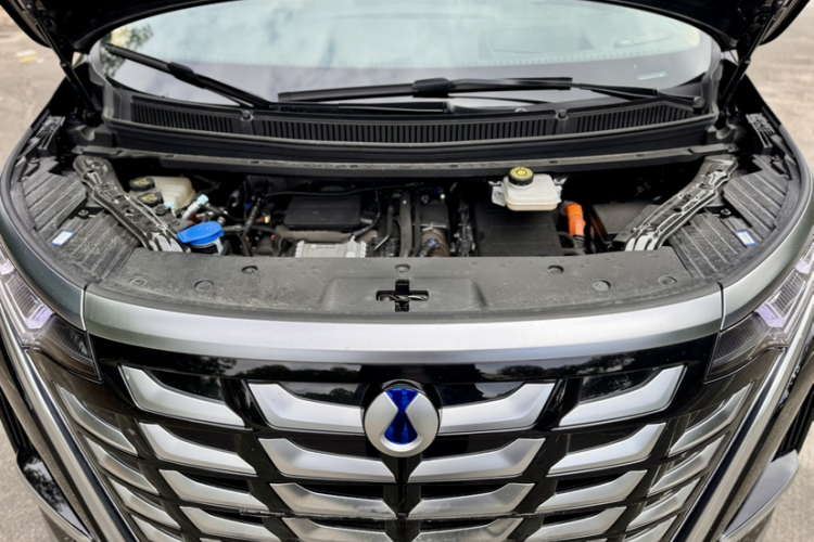 Denza D9 2025 изображение автомобиля #11