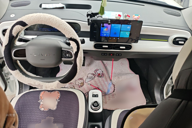 睿蓝汽车 2025 汽车图片 #11