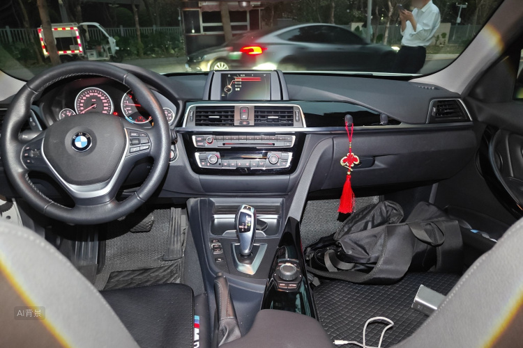 BMW 3 Series 2016 car image #11