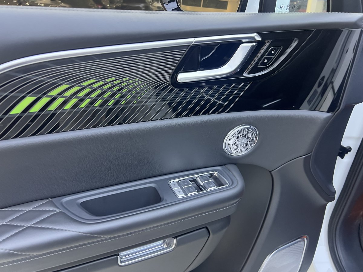 HongQi E-HS9 2022 car image #11