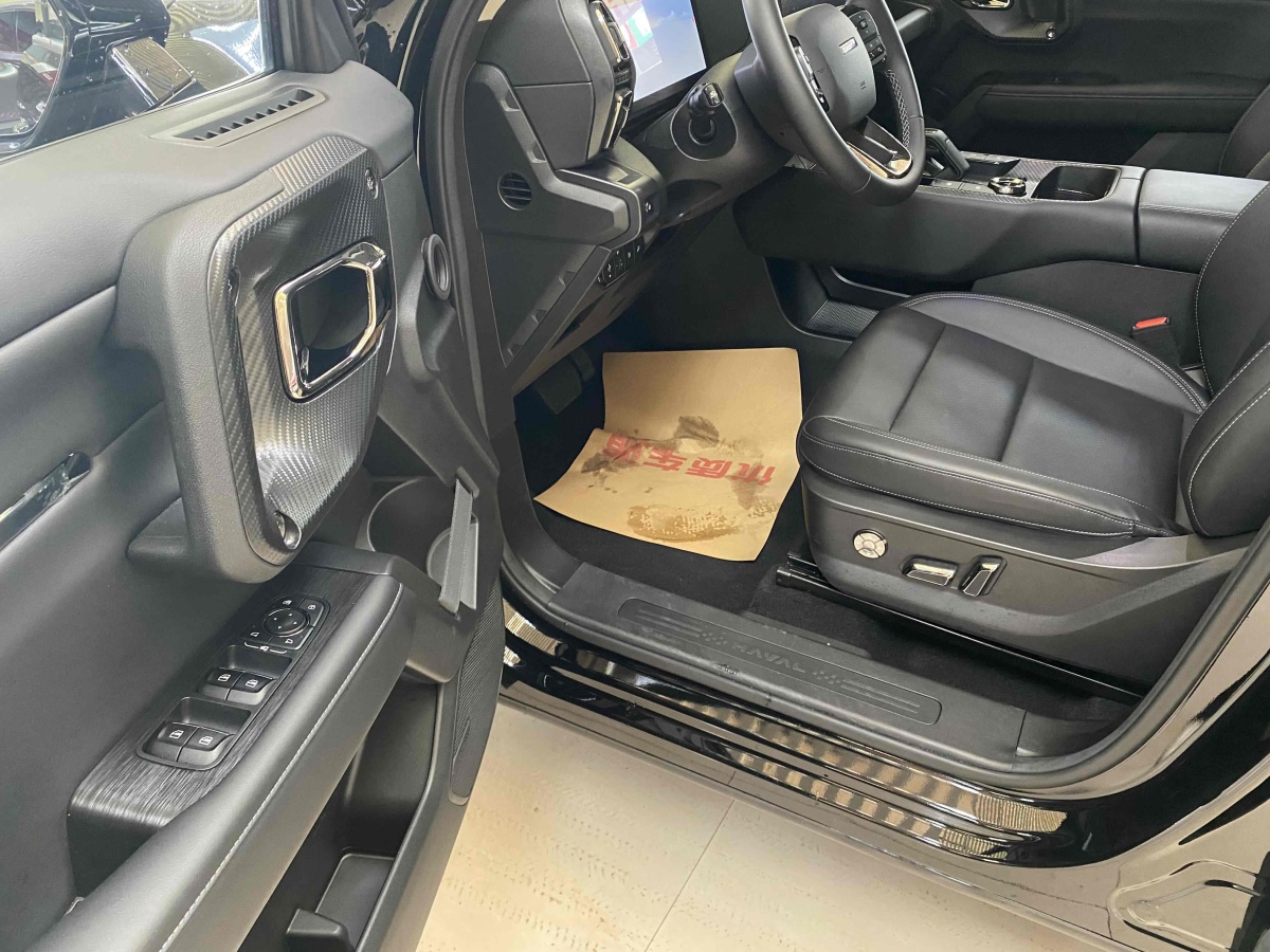 Haval X Dog 2 New Energy 2024 car image #11