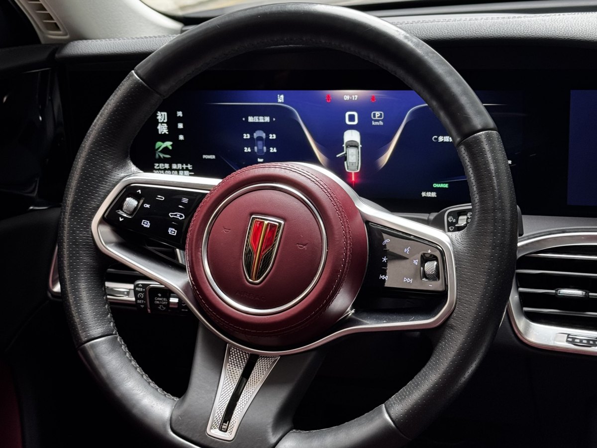 HongQi E-HS9 2021 #11 HongQi E-HS9 2021 immagine di auto #11