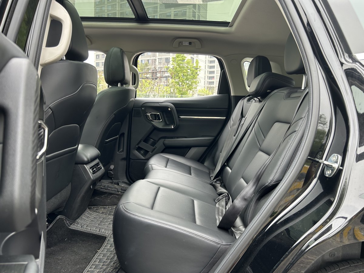 Haval X Dog 2 New Energy 2024 car image #11