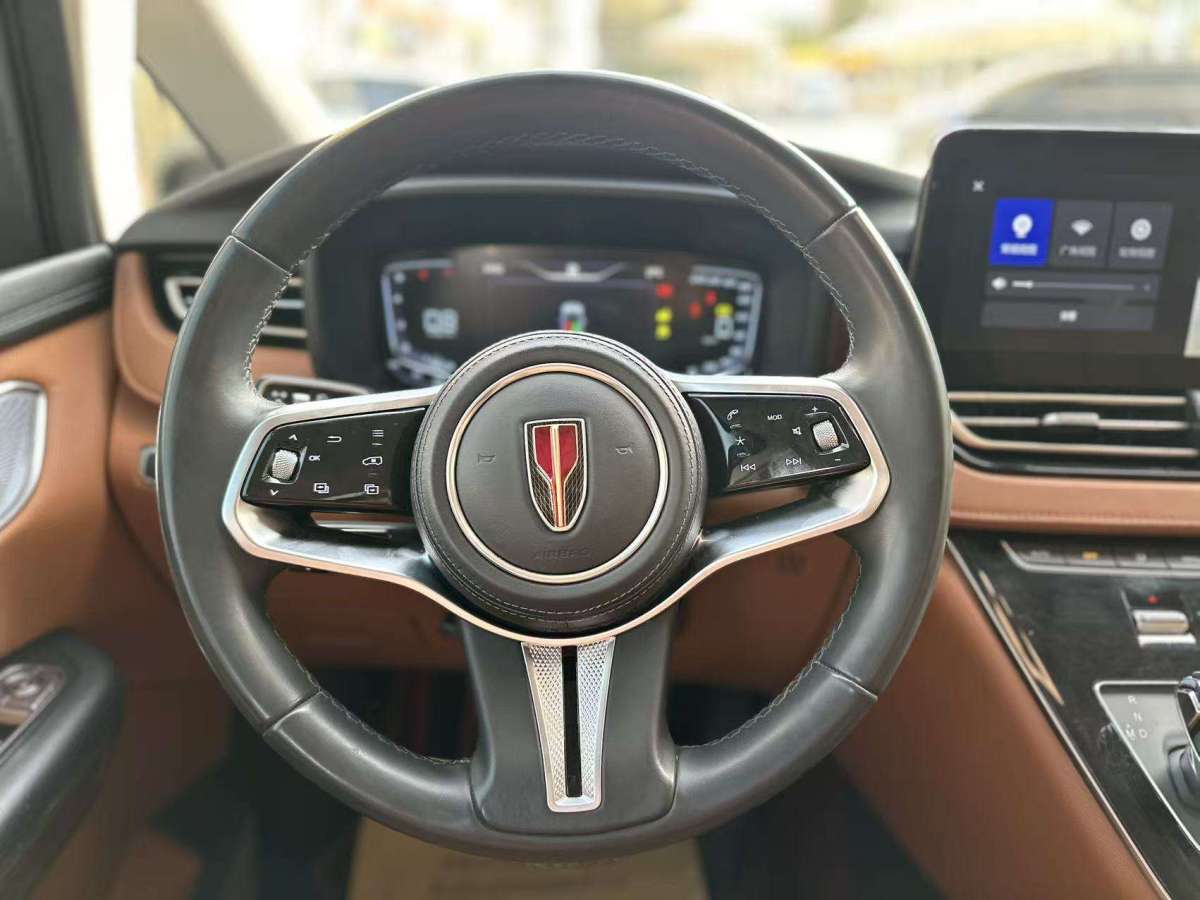 HongQi HQ9 2023 car image #11