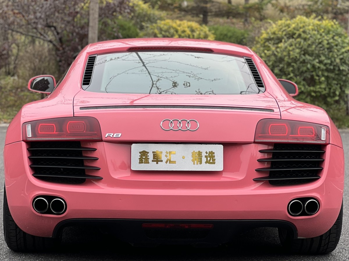 Audi R8 2010 #11 Audi R8 2010 car image #11