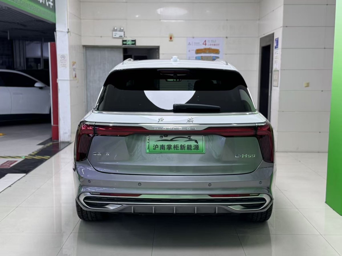 HongQi E-HS9 2021 immagine di auto #11