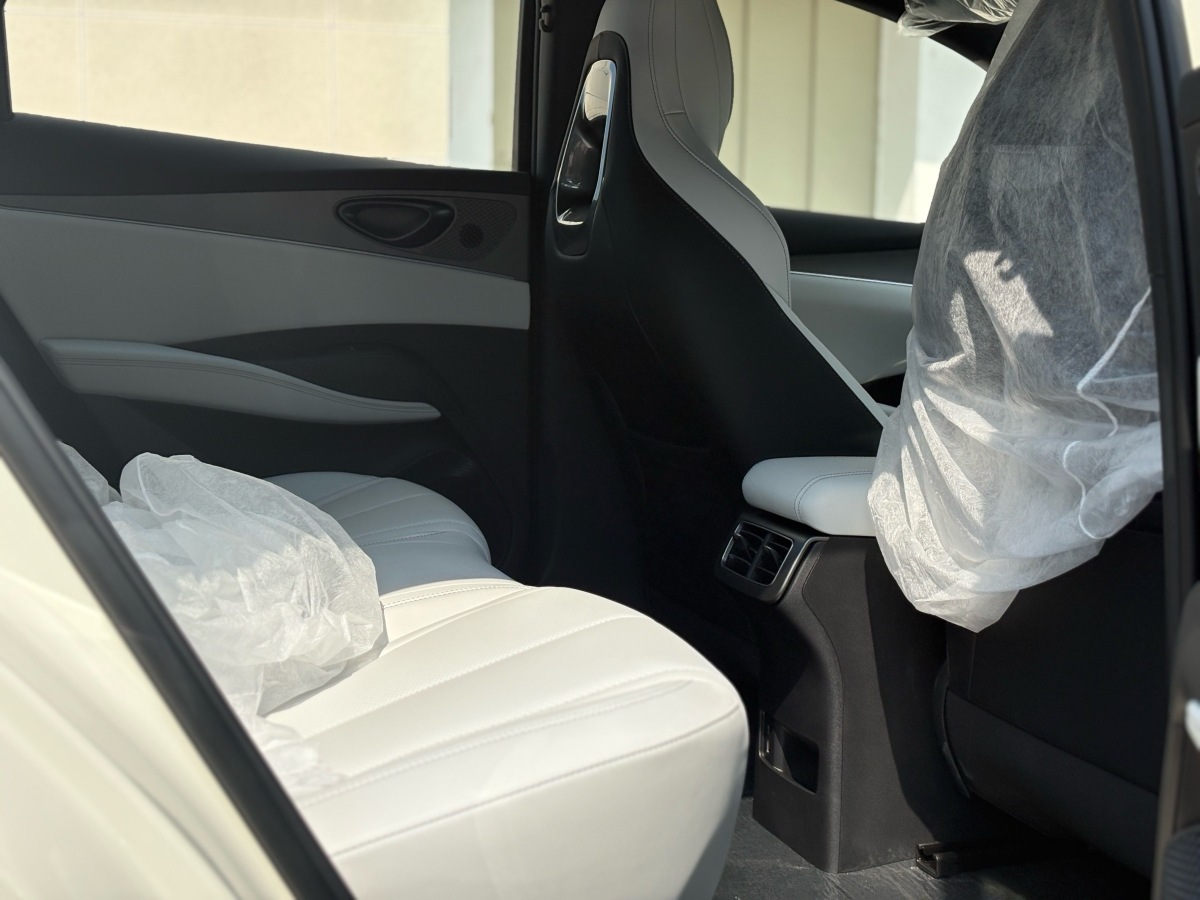 BYD Seal 06 DM-i 2025 immagine di auto #11