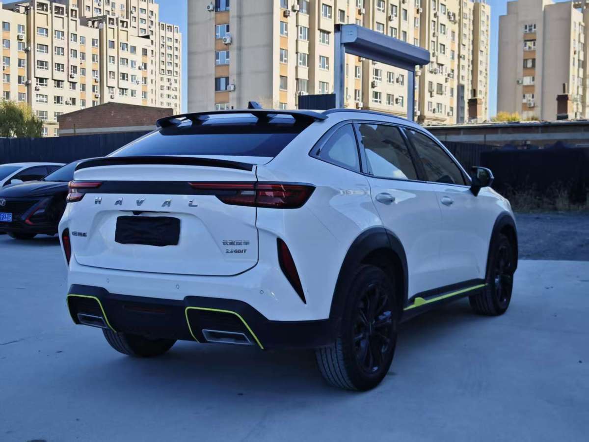 Haval H6S 2022 car image #11