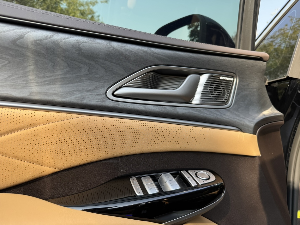 腾势 腾势D9 2024 汽车图片 #11