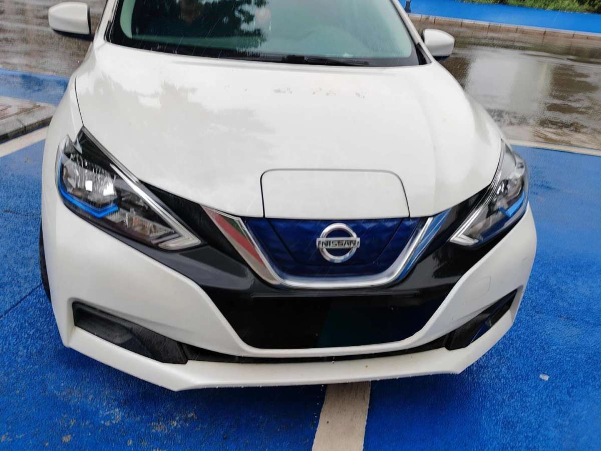 日产 轩逸·纯电 2018 汽车图片 #11