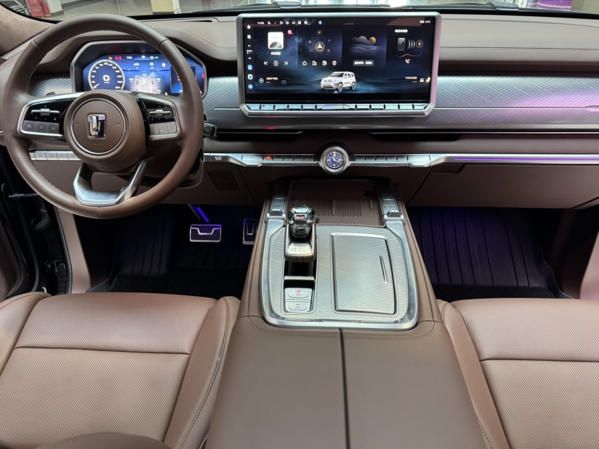 Tank 700 New Energy 2024 immagine di auto #11