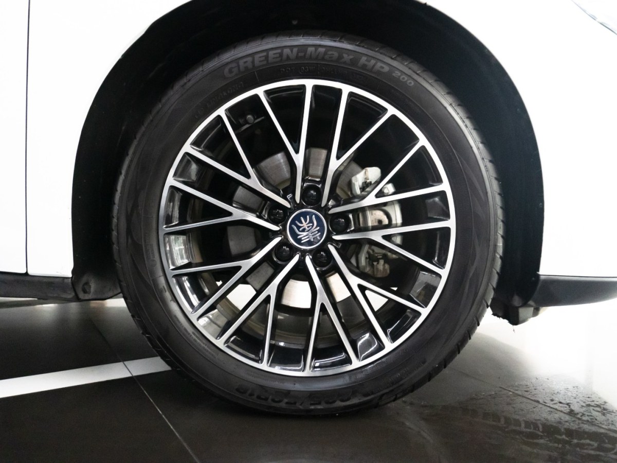 BYD M9 2024 car image #11