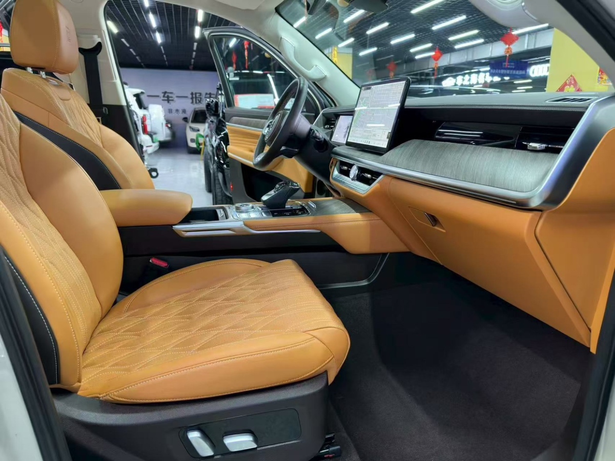 Tank 500 New Energy 2024 car image #11