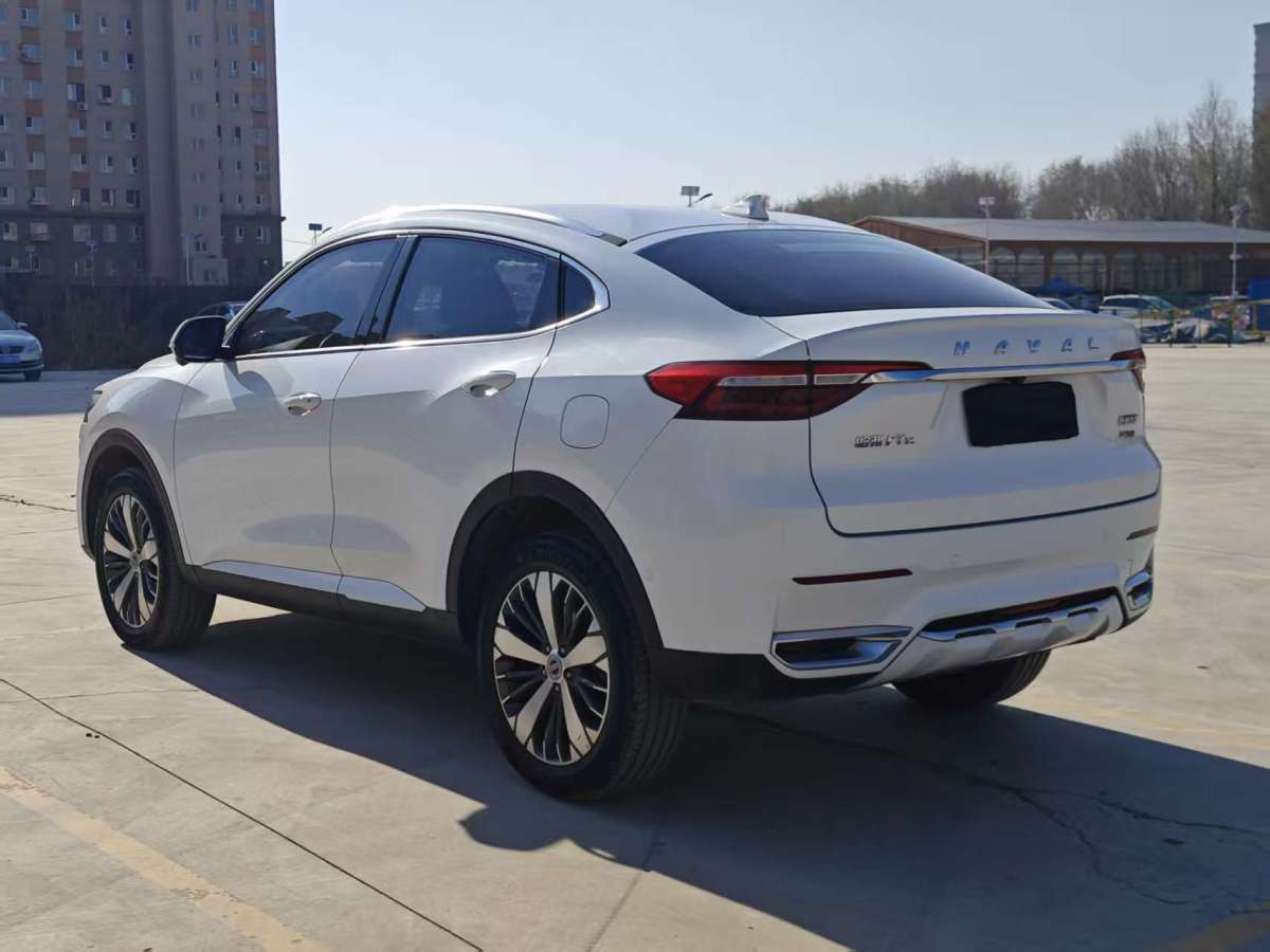 Haval F7x 2019 car image #11