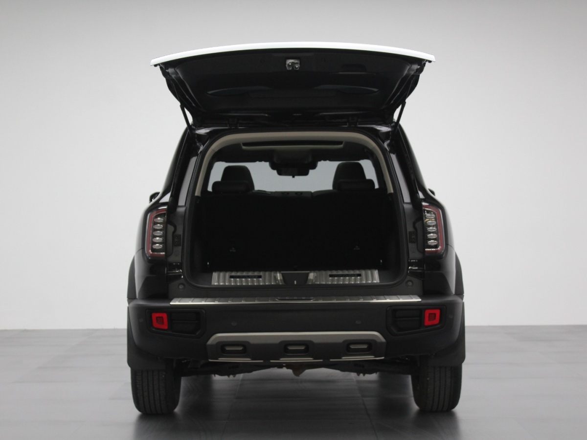 Haval X Dog / Dargo 2021 car image #11