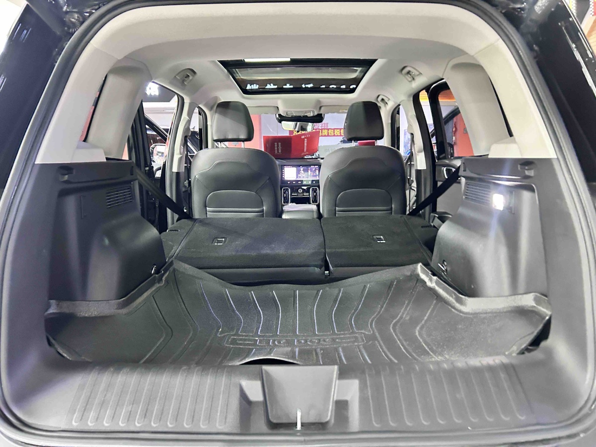 Haval X Dog / Dargo 2024 car image #11