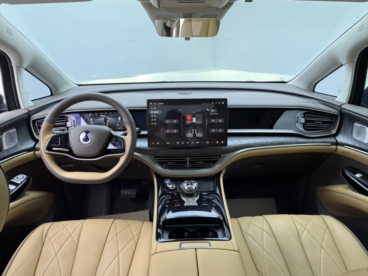 Denza N8L 2023 imagem de carro #11