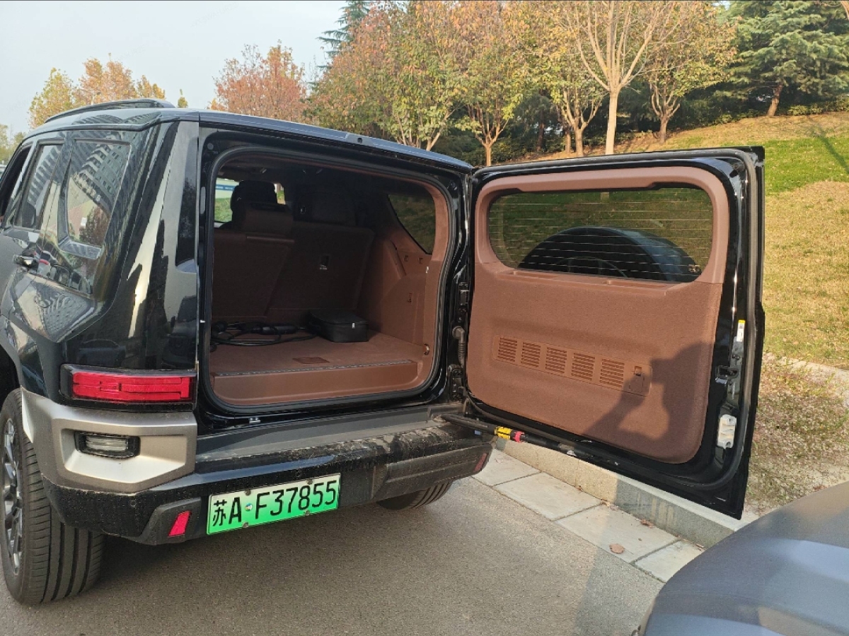 Tank 700 New Energy 2025 imagem de carro #11