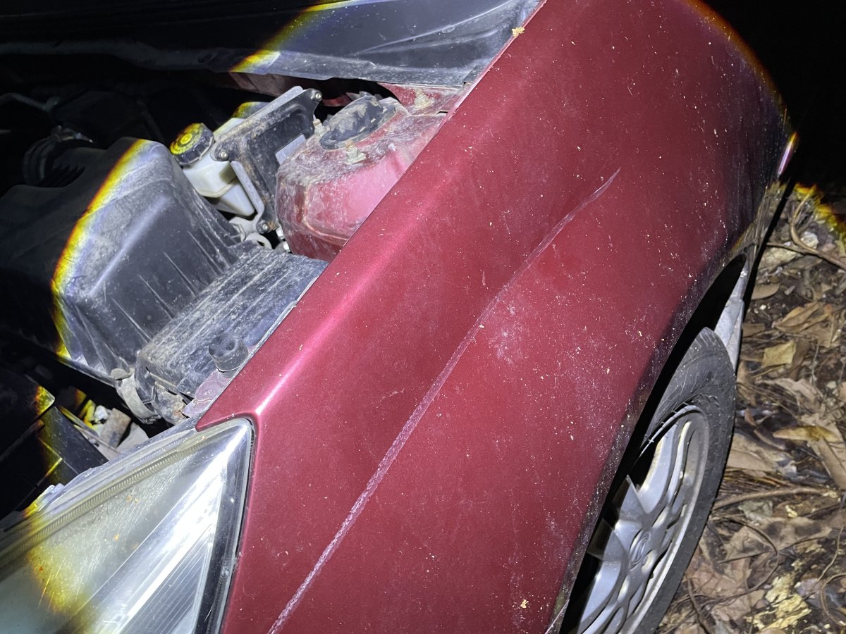 Changan Alsvin V5 2015 car image #11