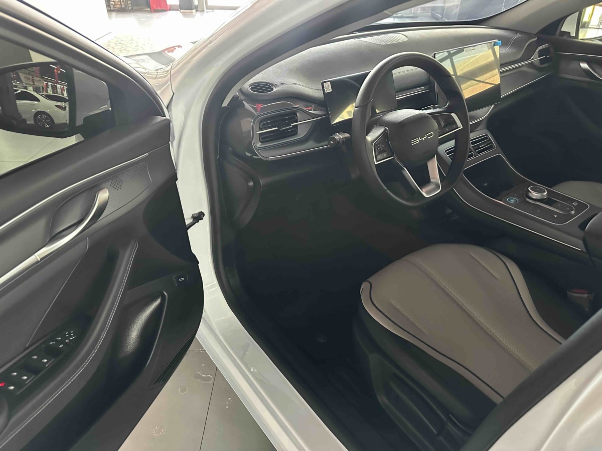 BYD Destroyer 05 2024 immagine di auto #11