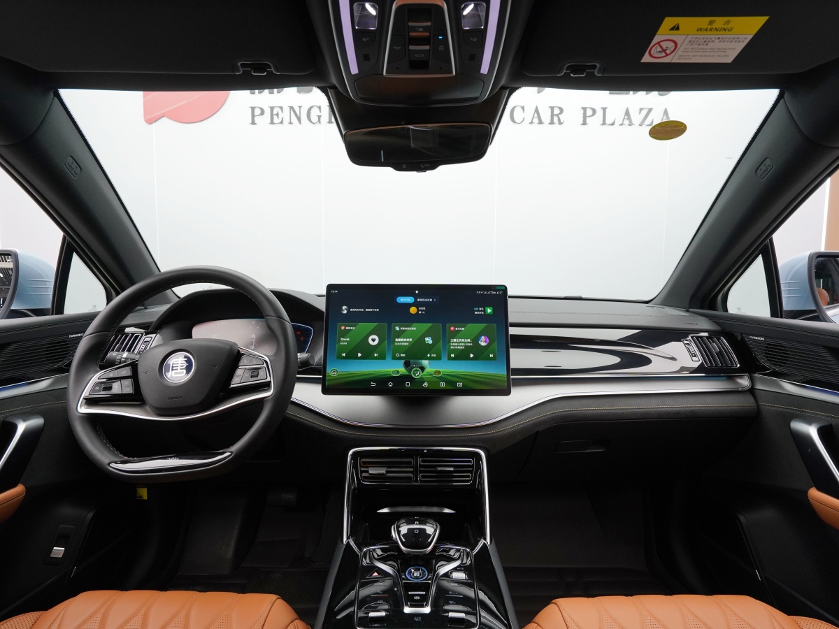 BYD Tang New Energy 2023 car image #11