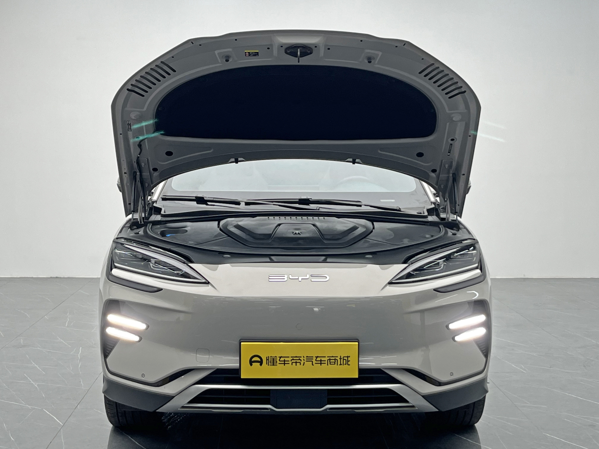 BYD Song Plus New Energy 2024 imagem de carro #11