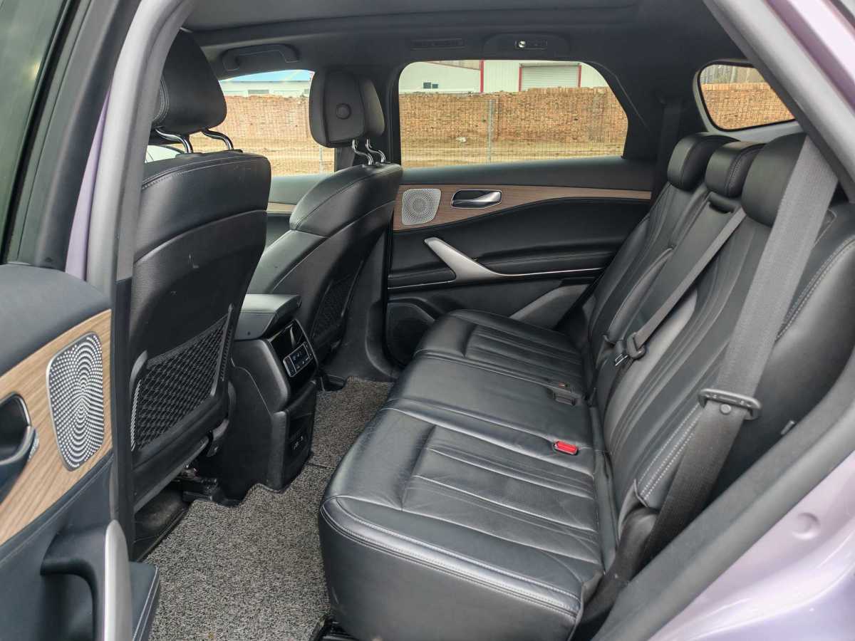 Denza X 2020 imagem de carro #11