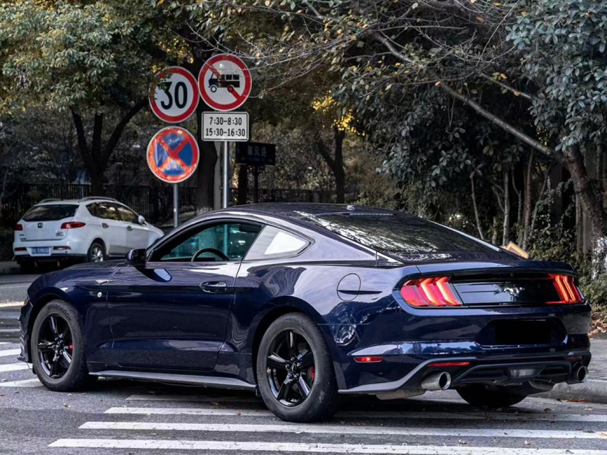 Ford 2019 #11 Ford 2019 car image #11