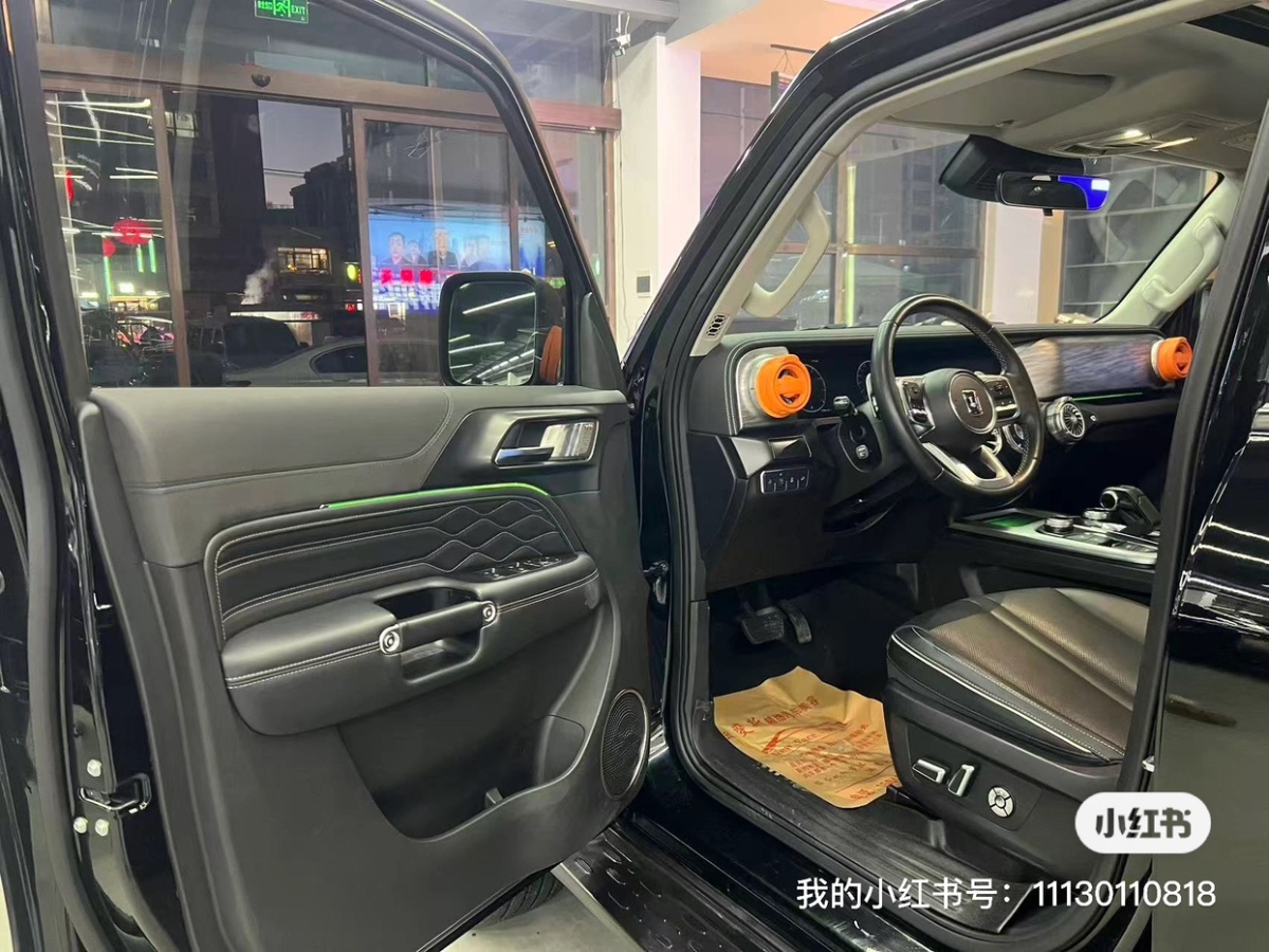 Tank 300 2022 car image #11