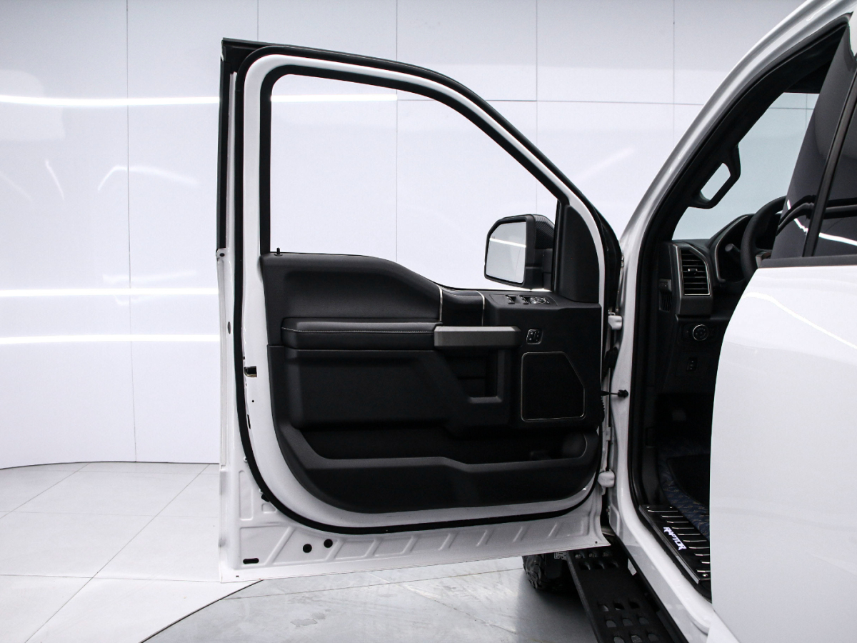 Ford F-150 Raptor 2019 car image #11