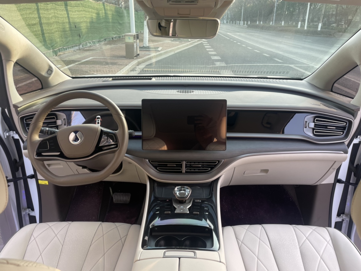 腾势 腾势D9 2023 汽车图片 #11