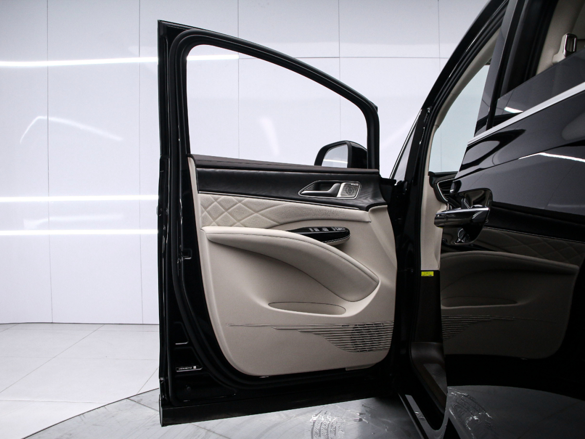 Denza D9 2024 car image #11