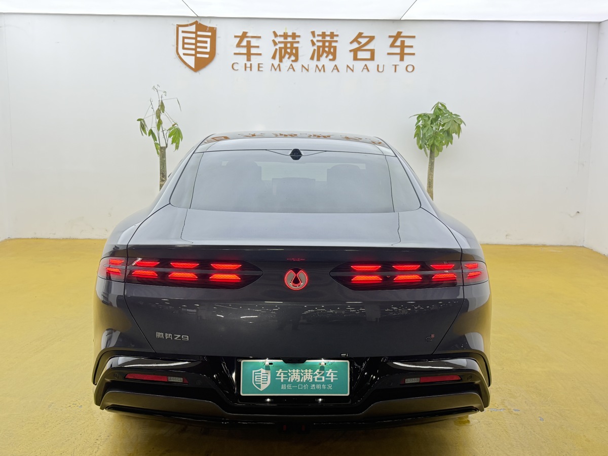 Denza Z9 2024 car image #11