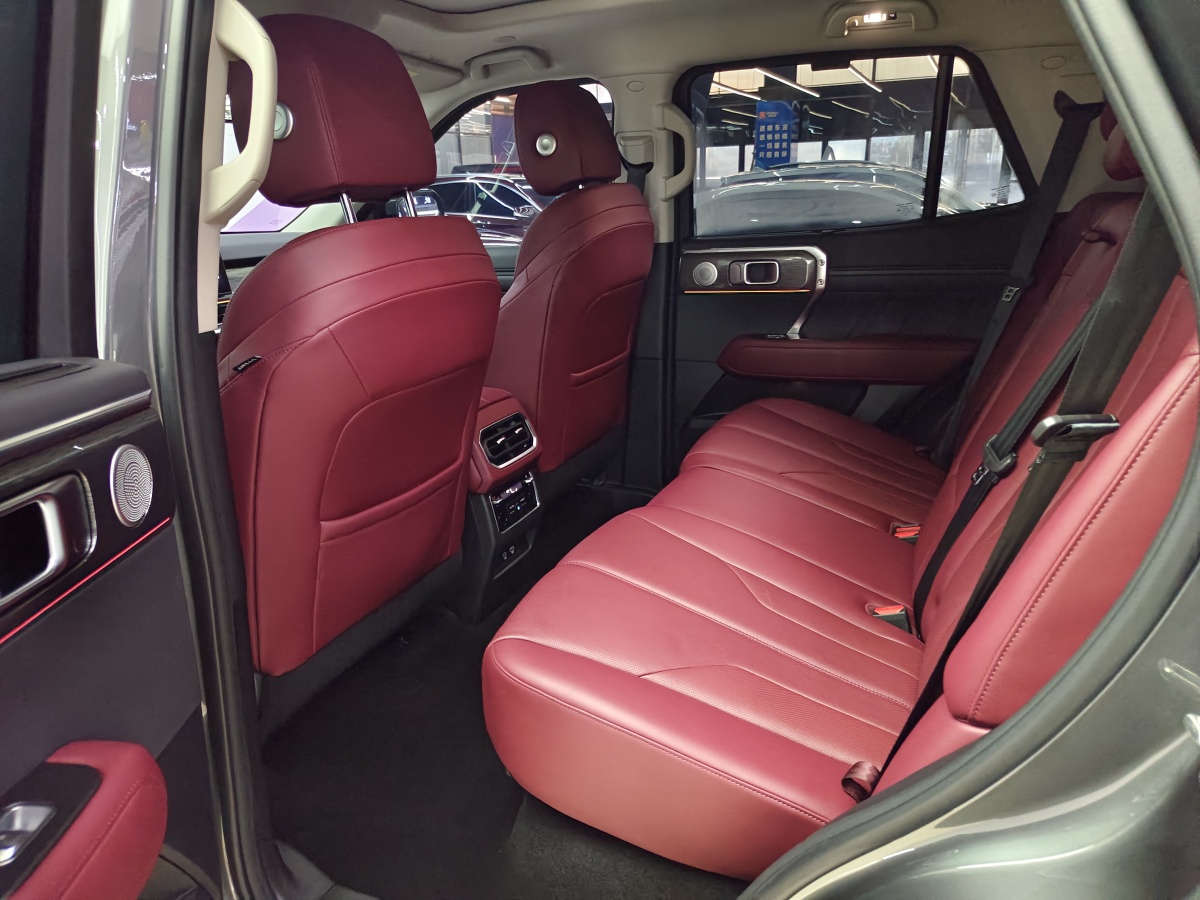 Tank 400 New Energy 2024 car image #11