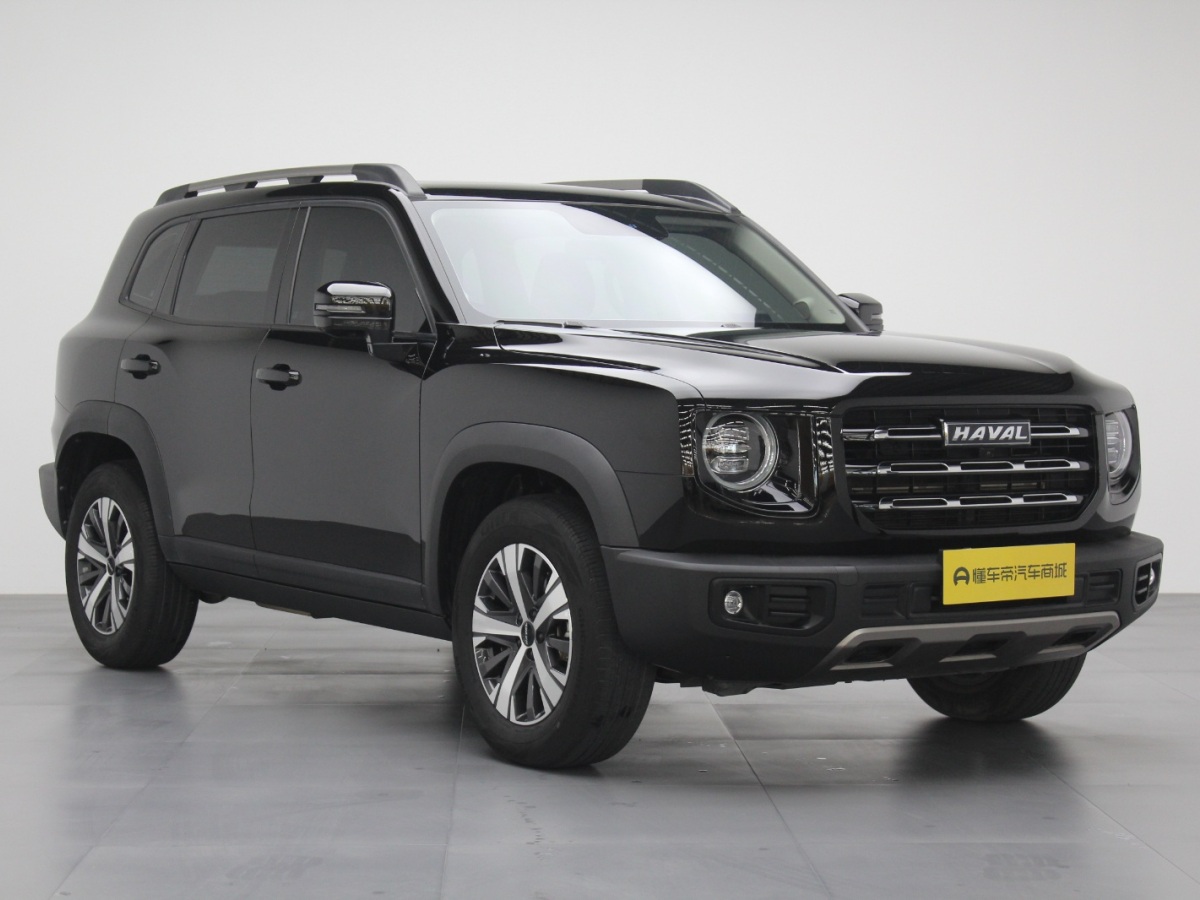 Haval X Dog / Dargo 2022 #11 Haval X Dog / Dargo 2022 car image #11