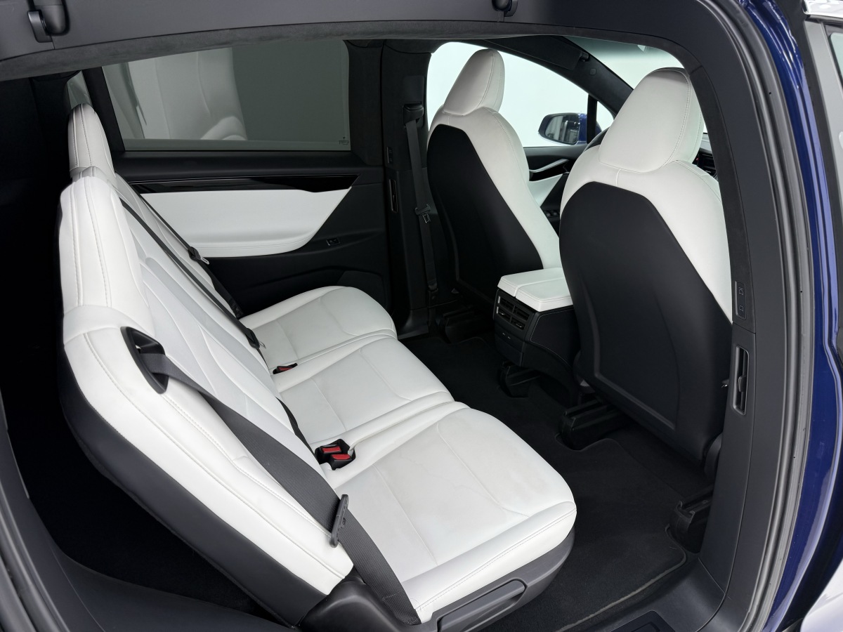 特斯拉 Model X 2019 汽车图片 #11