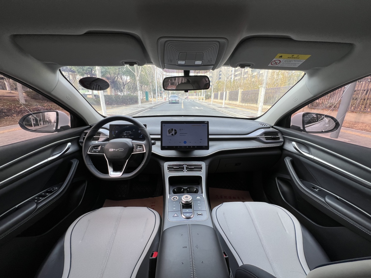 BYD Destroyer 05 2024 car image #11