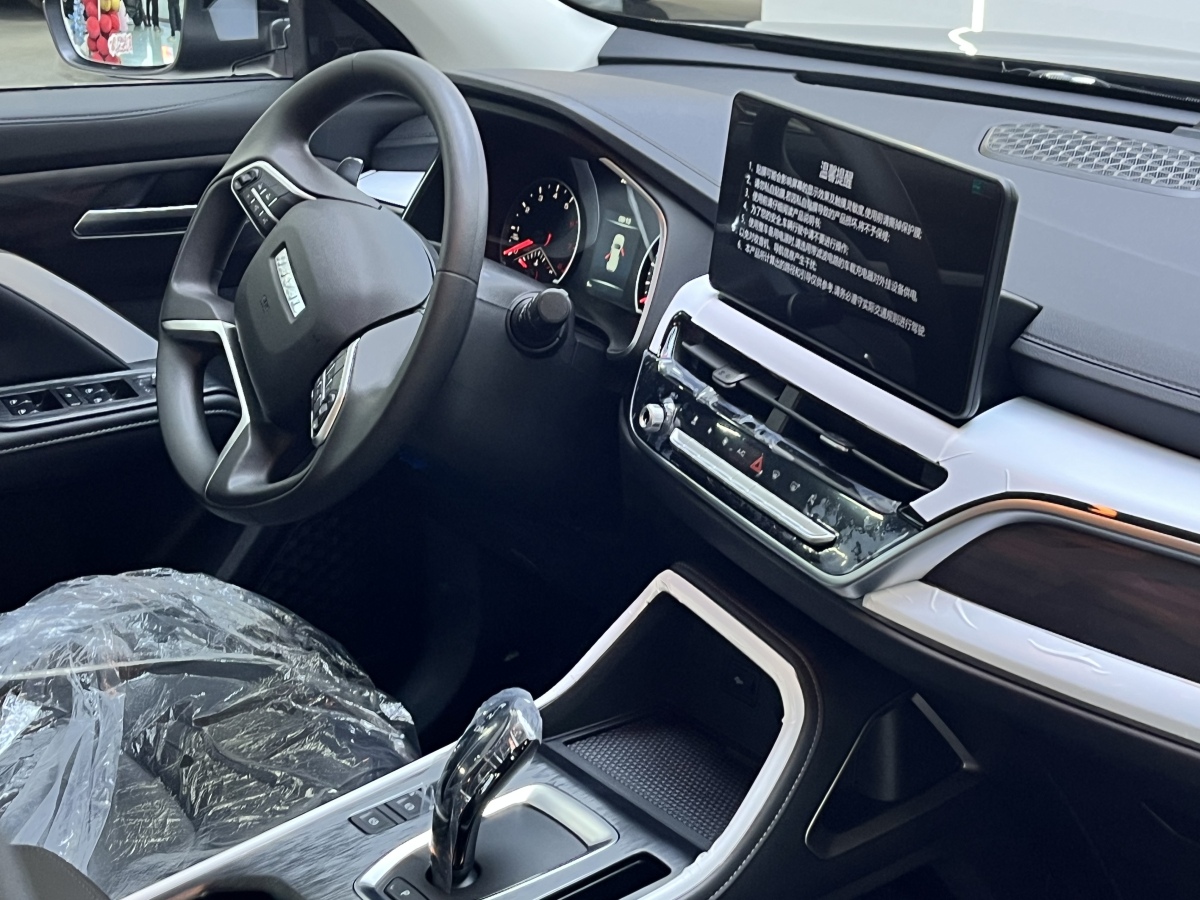 Haval H6 2025 car image #11