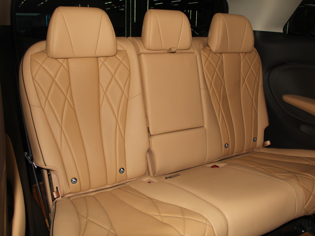 Denza D9 2025 car image #11