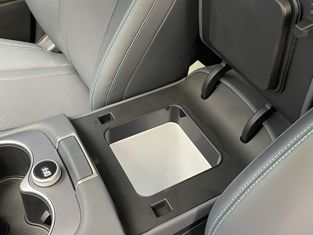 BYD Sea Lion 07 DM-i 2025 car image #11