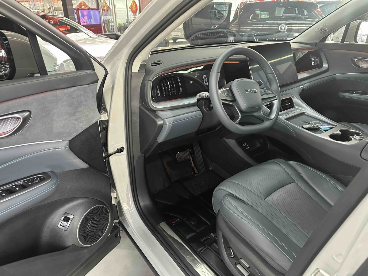 BYD Sea Lion 07 DM-i 2025 car image #11