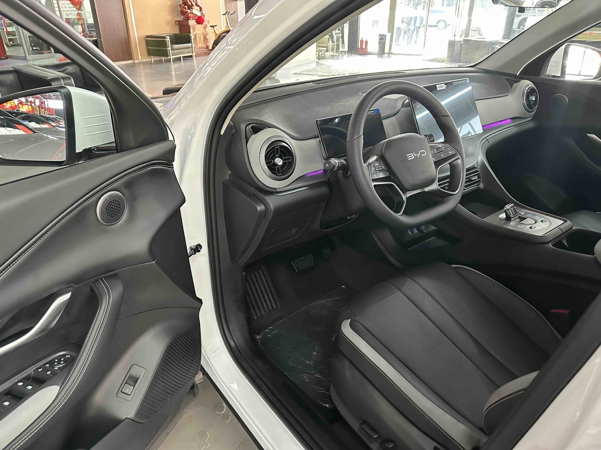 BYD Sea Lion 05 DM-i 2025 image de voiture #11